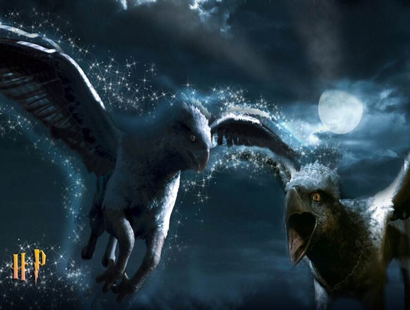 Two Hippogriffs in Flight