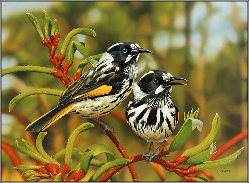 Two Honeyeaters on Branch — Green