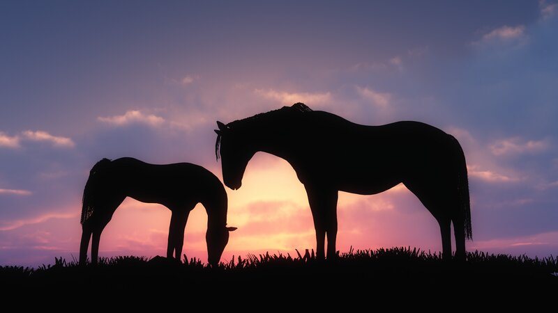 Two Horses at Sunset — Purple, Serene, 3d Render