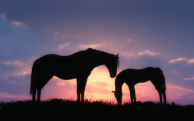 Two Horses at Sunset — Purple, Serene