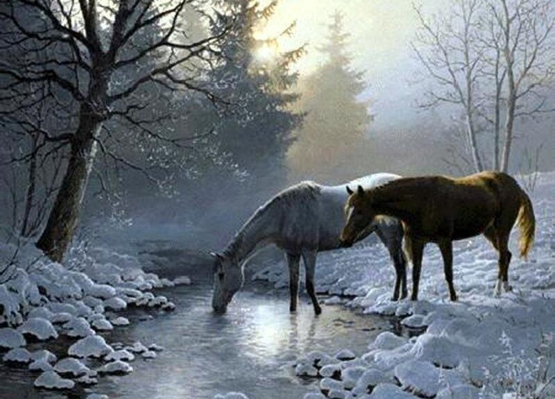 Two Horses Drinking Water
