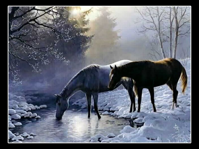 Two Horses Drinking Water — White, Serene