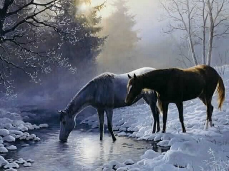 Two Horses Drinking Water — White