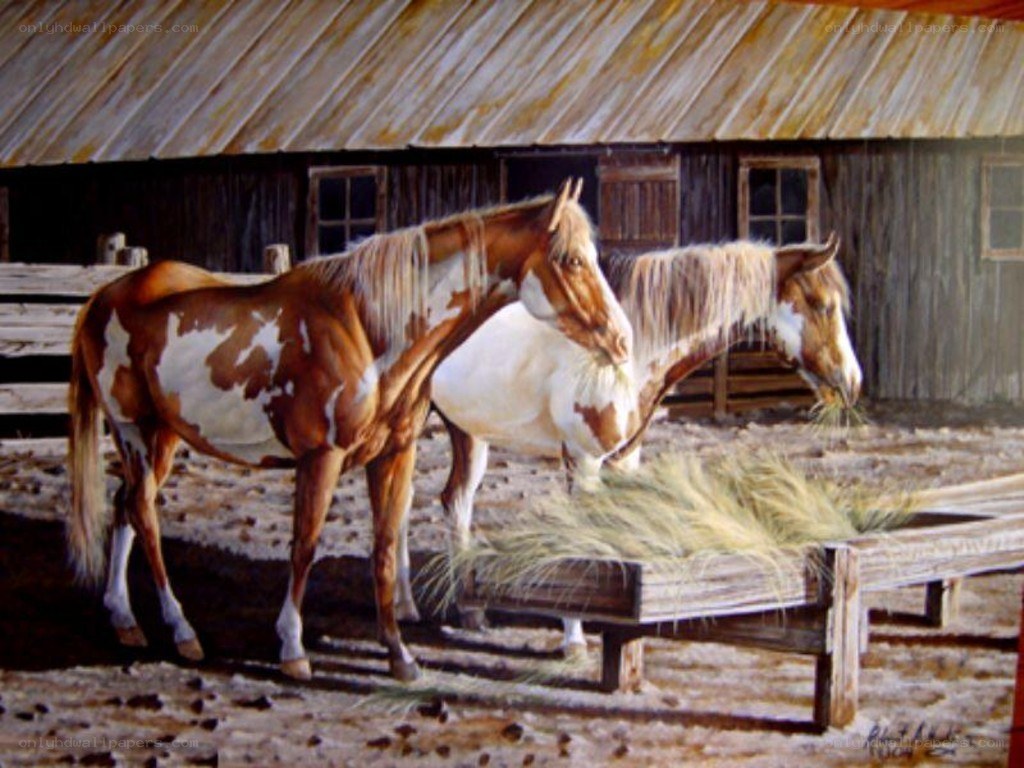 Two horses eating hay in a barn