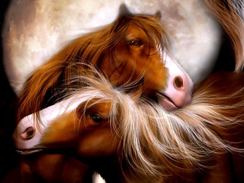 Two Horses Embracing