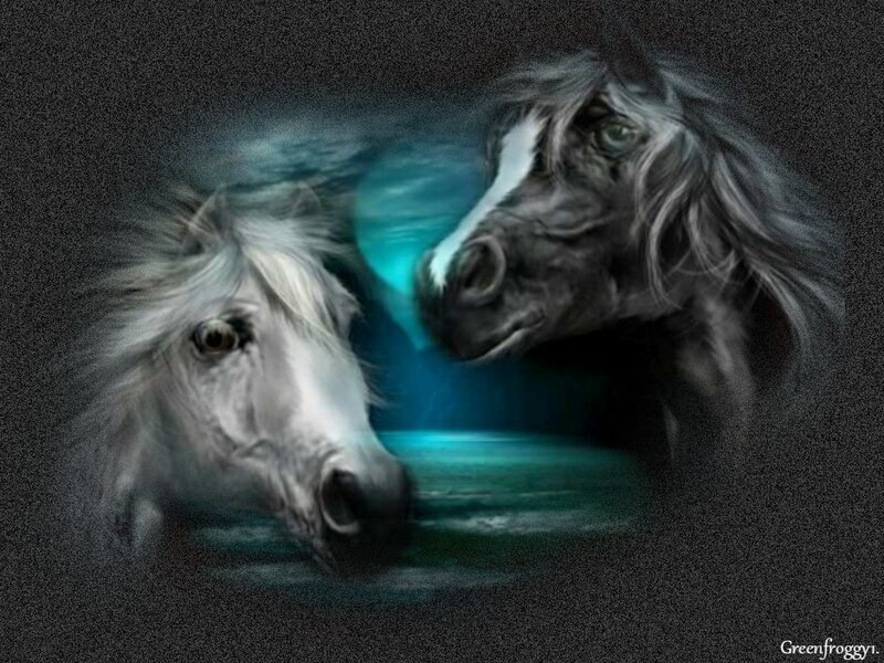 Two Horses Facing Each Other — Black, Dramatic