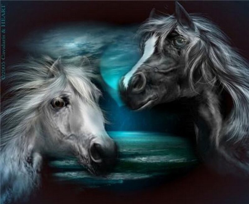 Two Horses Facing Each Other — Blue, Dramatic