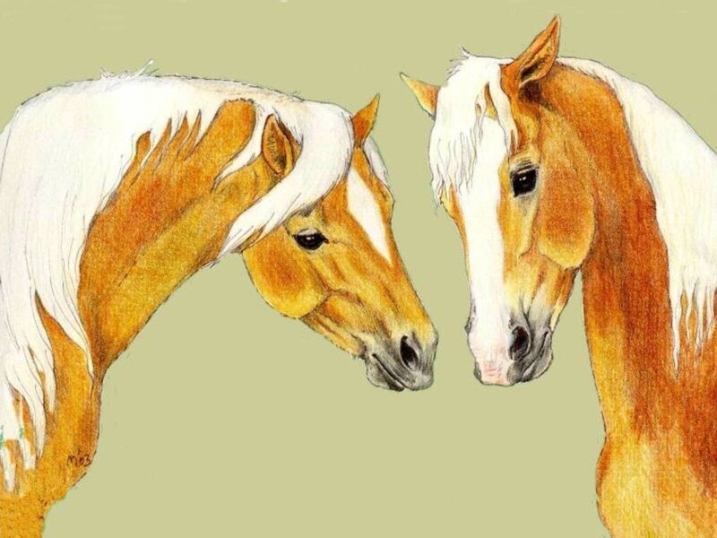 Two Horses Facing Each Other — Brown, Calm, Illustration