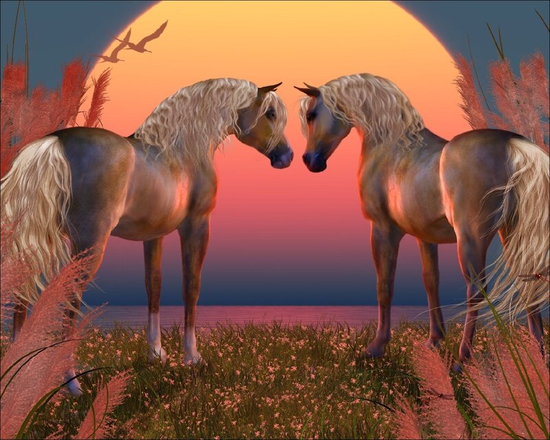 Two Horses Facing Each Other — Orange, Serene