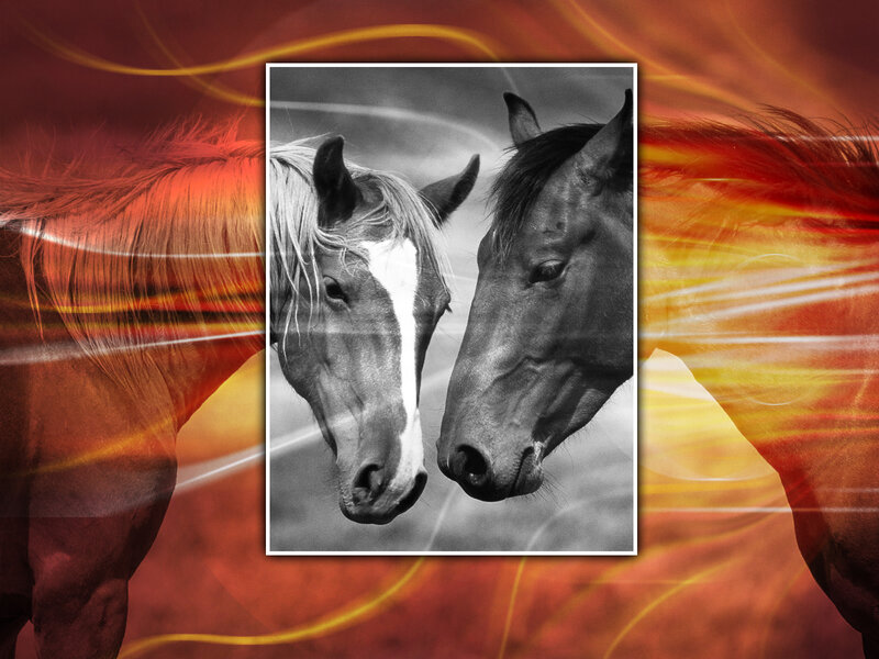 Two Horses Facing Each Other — Red