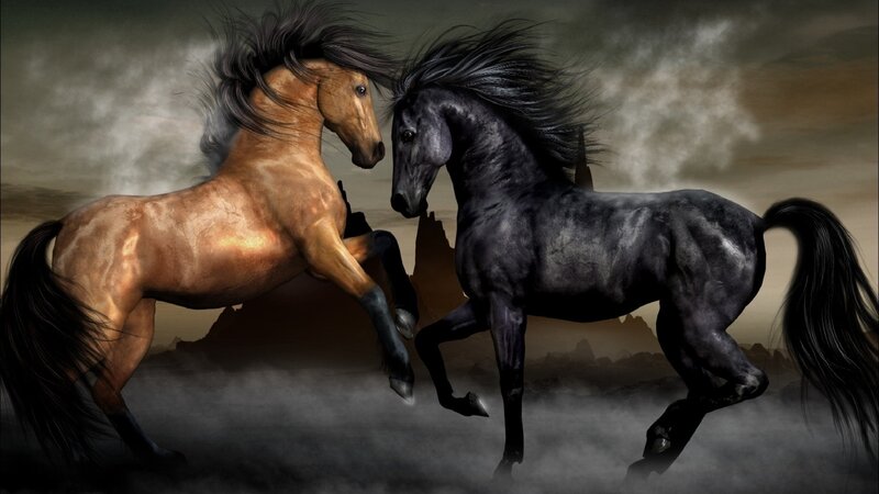 Two Horses Fighting — Black, Dramatic, Digital Art, Clouds