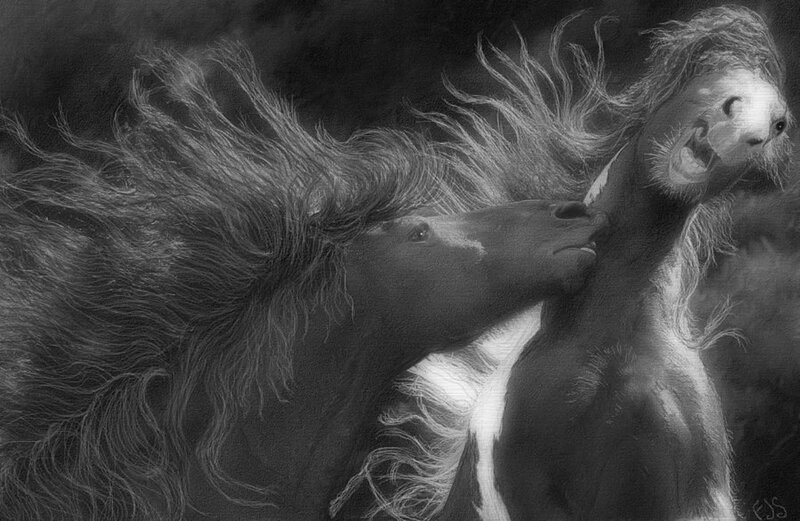 Two Horses Fighting — Black, Dramatic, Illustration