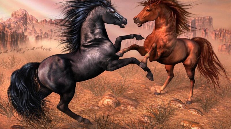 Two Horses Fighting — Brown, Dramatic, Sunset, Digital Art, Desert