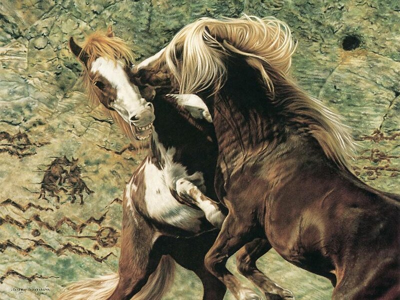 Two horses fighting in a rocky landscape