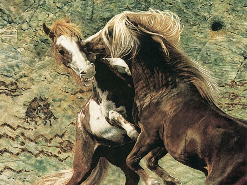 Two horses fighting in a rocky landscape