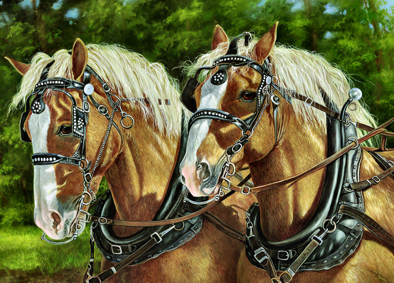 Two Horses Harnessed — Brown