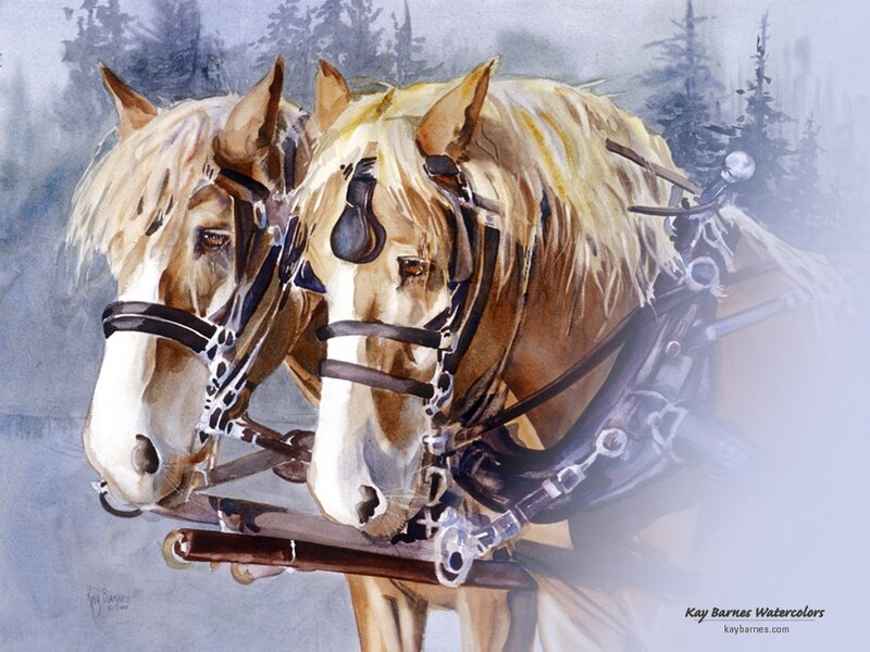 Two Horses Harnessed