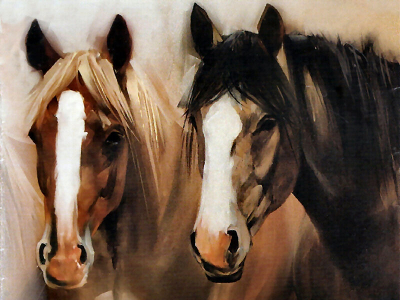 Two Horses Heads