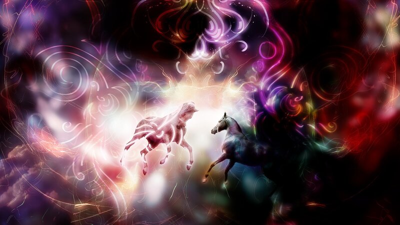 two horses in a colorful vortex