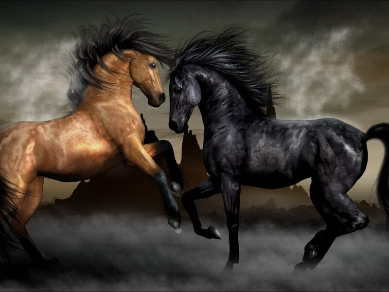 Two horses in a dramatic scene