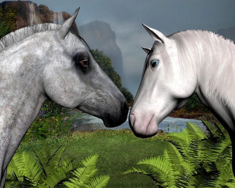 Two horses in a scenic landscape