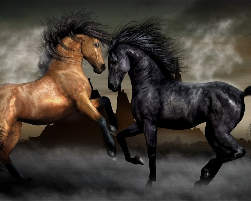 Two horses in a storm