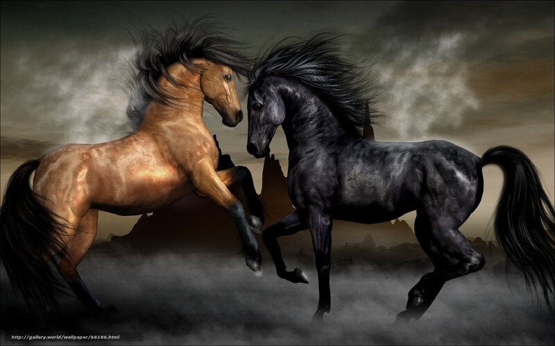 Two horses in a storm