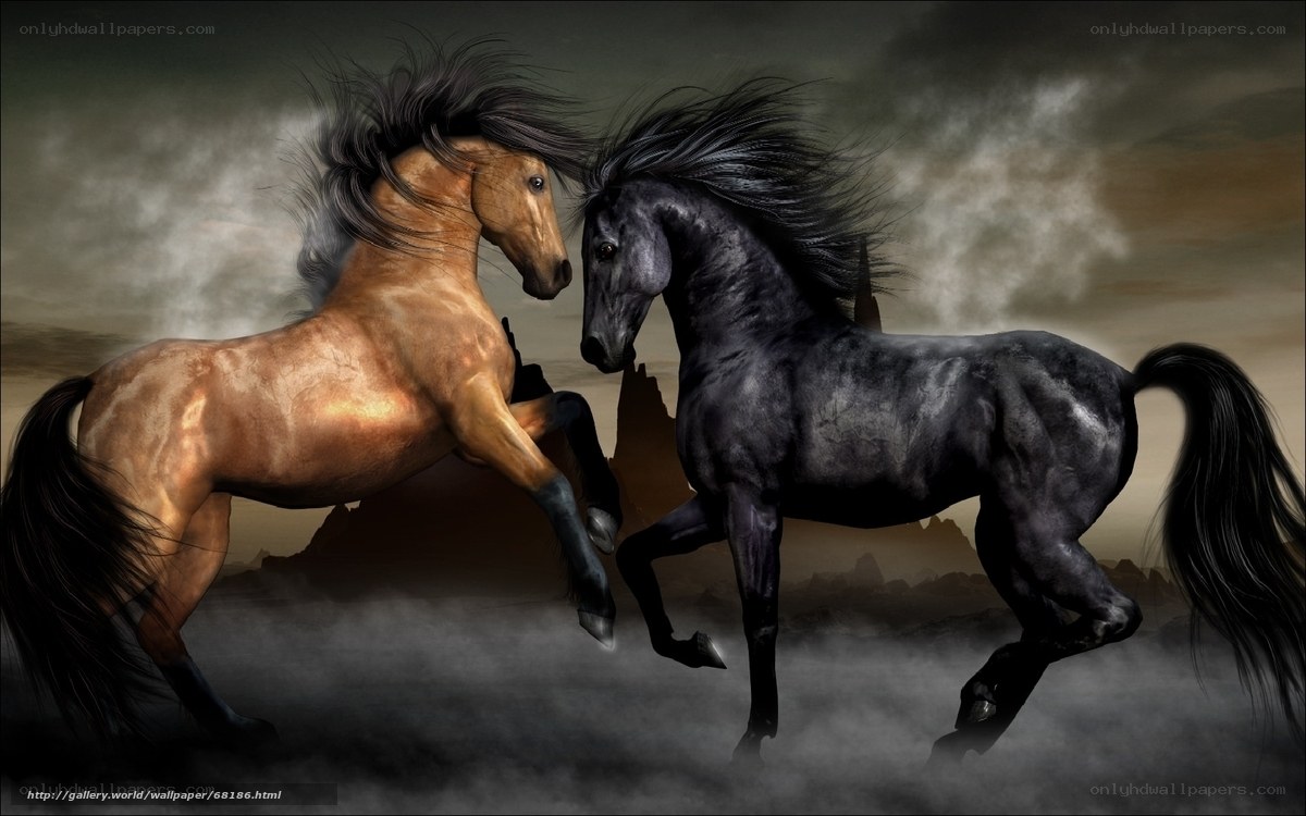 Two horses in a storm
