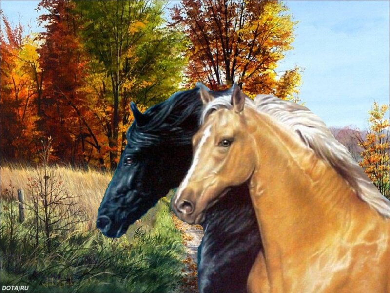 Two Horses in Autumn