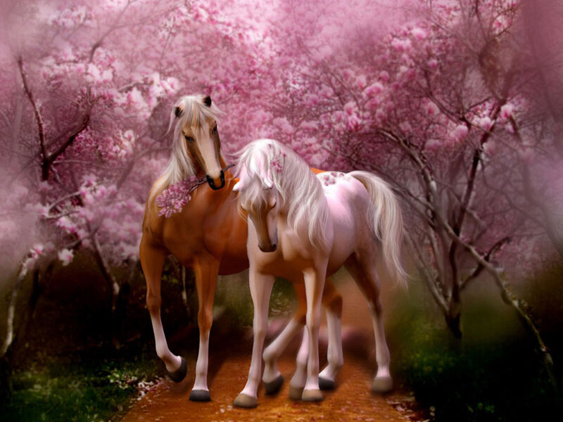 Two Horses in Blossoms — Pink