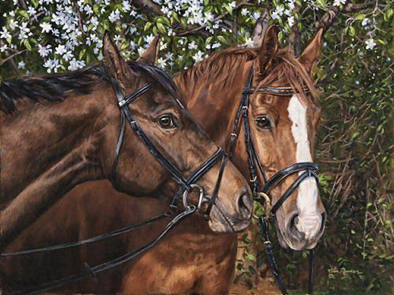 Two Horses in Bridle