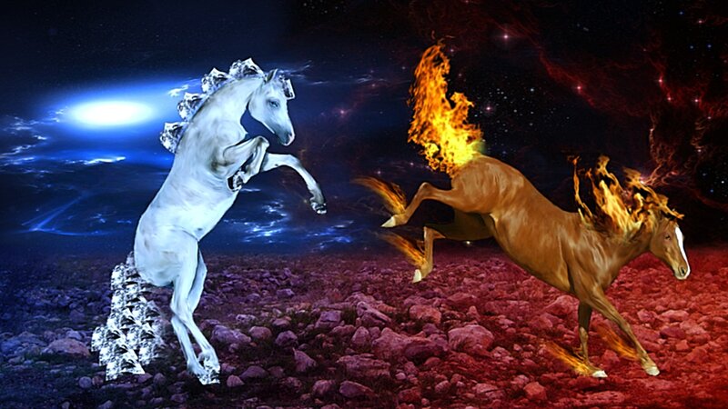 Two Horses in Combat