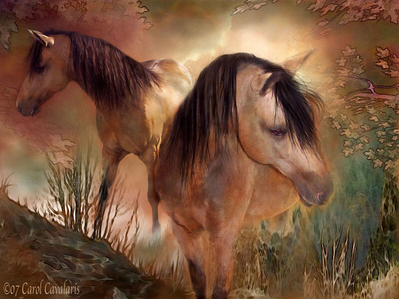 Two Horses in Field — Brown