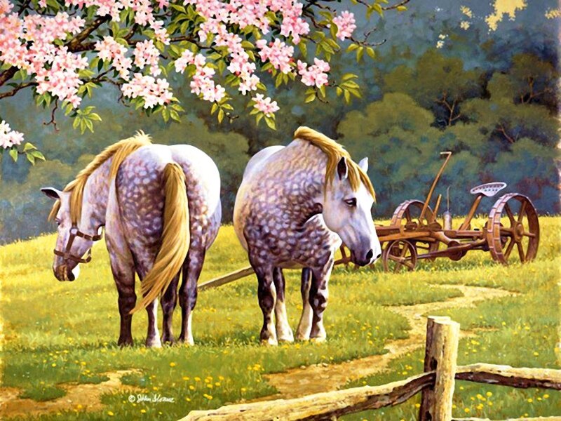Two Horses in Field — Green, Serene, Spring
