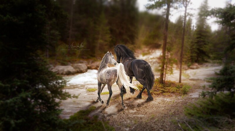 Two Horses in Forest — Green, Serene, Afternoon, Digital Art