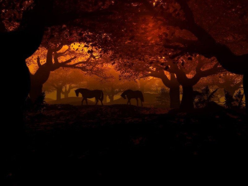 Two Horses in Forest — Orange, Dramatic