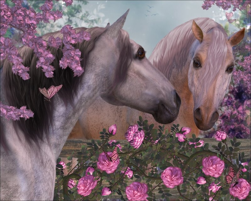 Two Horses in Garden