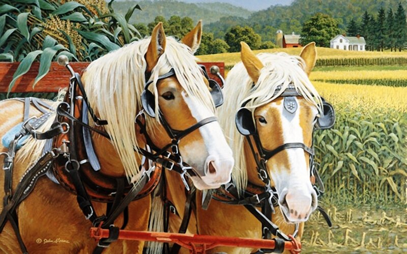 Two Horses in Harness — Brown, Serene