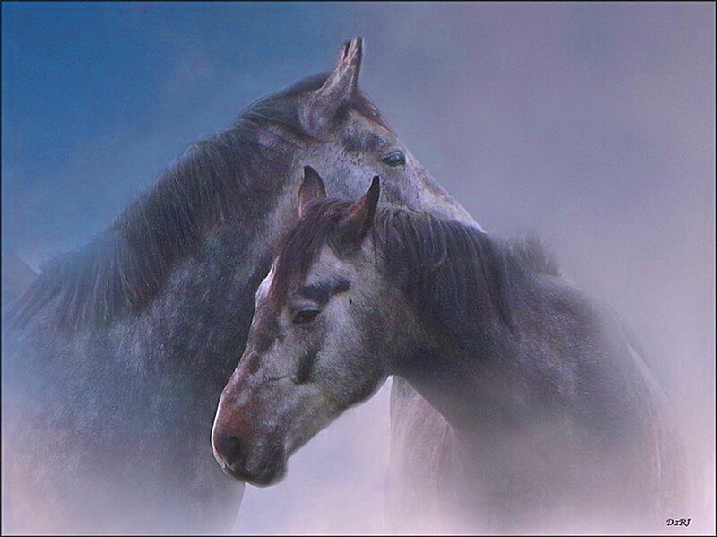 Two Horses in Mist — Gray