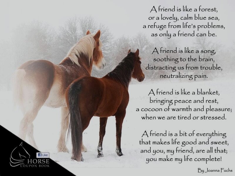 Two Horses in Snow — White, Serene, Winter