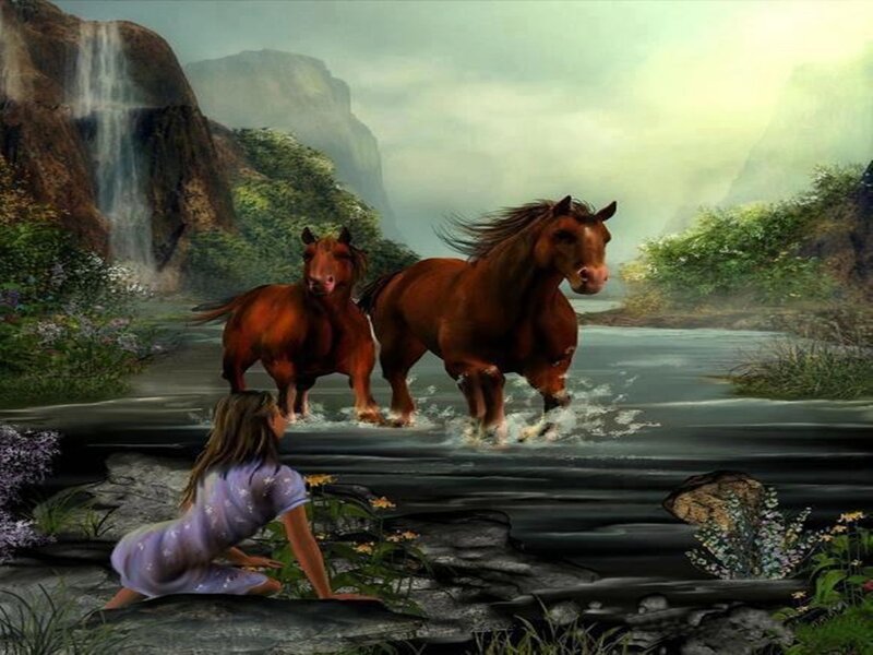Two Horses in Stream