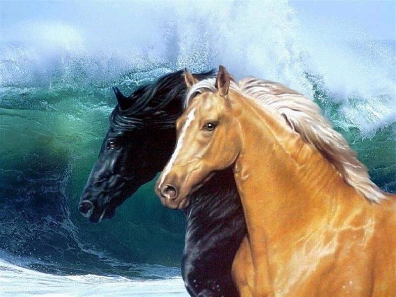 Two Horses in Water — Brown, Dramatic
