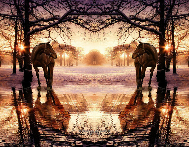 Two Horses in Water — Brown, Serene