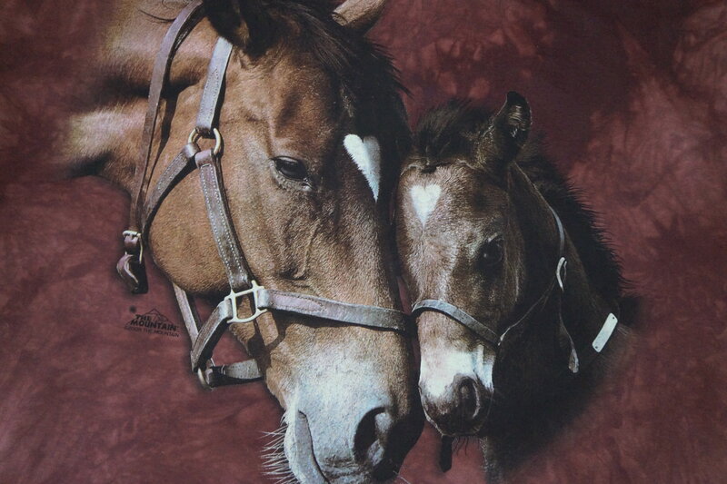 Two Horses Lying Down