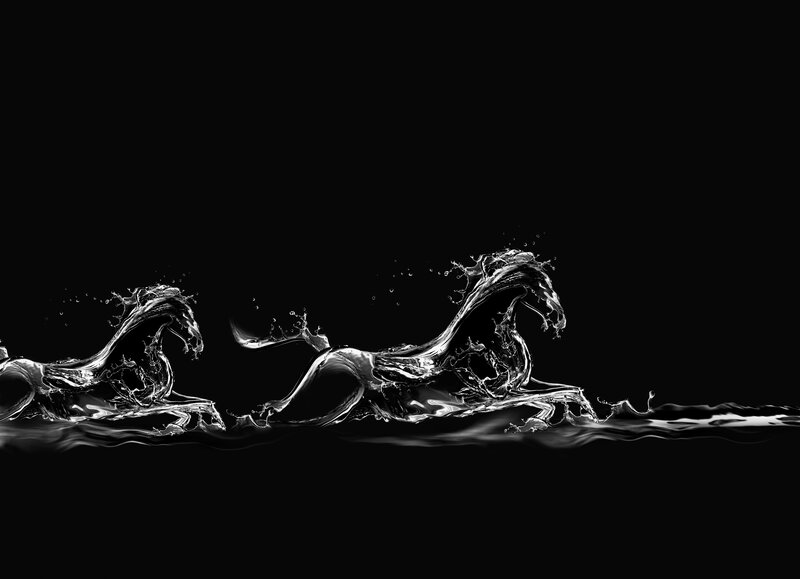 Two Horses Made of Water