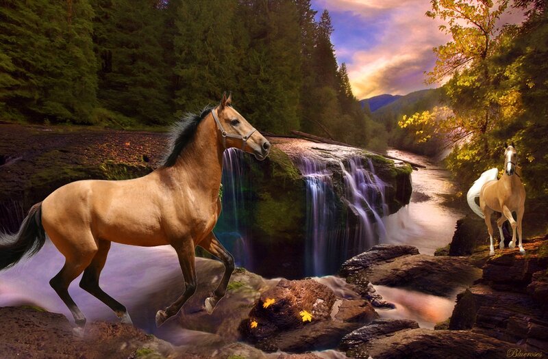 Two Horses Near Waterfall — Brown