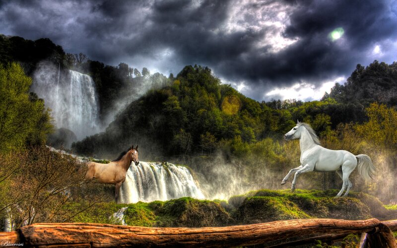 Two Horses Near Waterfall