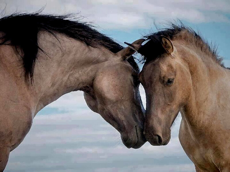 Two Horses Nuzzling — Brown, Calm, Painting
