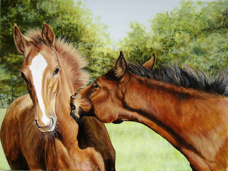Two Horses Nuzzling — Brown, Serene, Afternoon