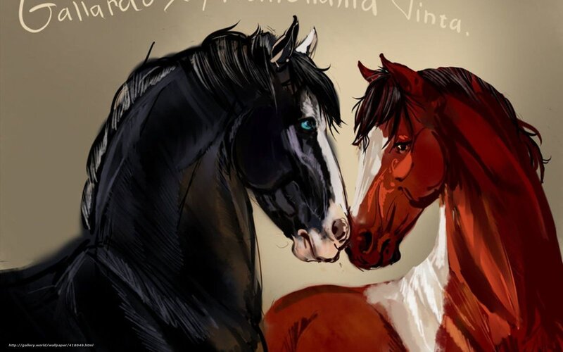 Two horses nuzzling